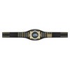 Vibraprint® Perpetual Championship Belt- Perpetual - Image 3