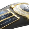 Vibraprint® Perpetual Championship Belt- Perpetual - Image 7