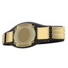Vibraprint® Perpetual Championship Belt- Perpetual - Image 11