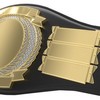 Vibraprint® Perpetual Championship Belt- Perpetual - Image 10