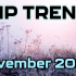 NOVEMBER AMP CALENDAR