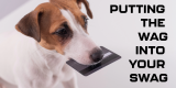 TURNING TAIL WAGS INTO SALES SPIKES: HOW PET-POWERED SWAG CREATES LOYAL CUSTOMERS FOR LIFE
