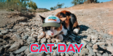 Happy Cat Day