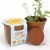 Flower Power Seed Paper Sprouter Kit